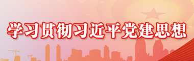 学习贯彻习近平党建思想